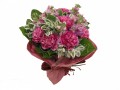 12 Carnation