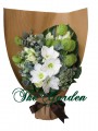Especially For You - 3 White Amaryllis