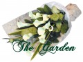 My Fair Lady - 10 White Calla Lily