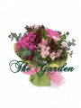 Dream Lover - 3 Pink Hydrangea