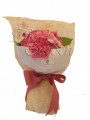 Pink Hydrangea