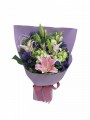 Sweetie - 3 Pink Lily