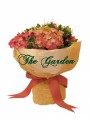 Happiness - 3 Pink Hydrangea