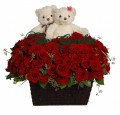 Two of a Kind - 99 Red Rose