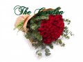 Always - 36 Red Rose
